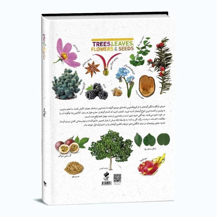 اموزشی و علمی