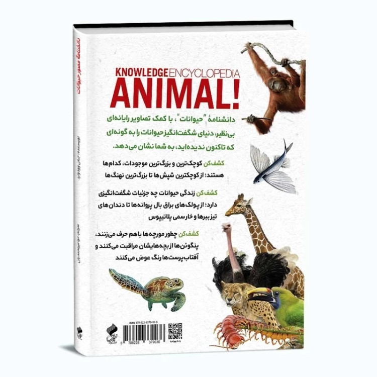 دانشنامه علمی یکی پرفروش ترین ها